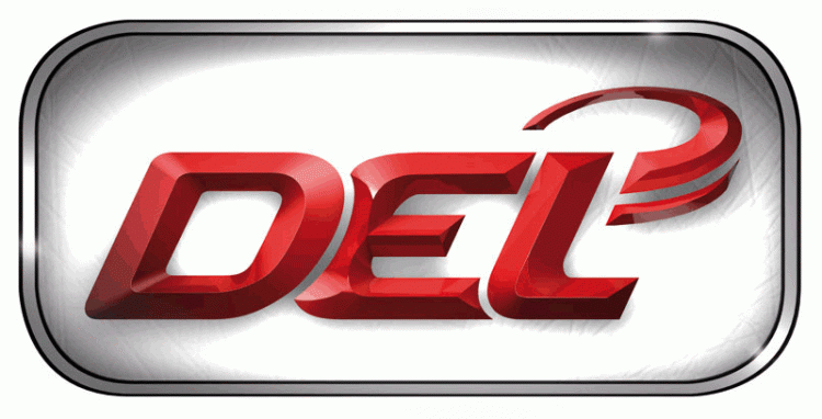 DEL 2011-pres primary logo iron on heat transfer